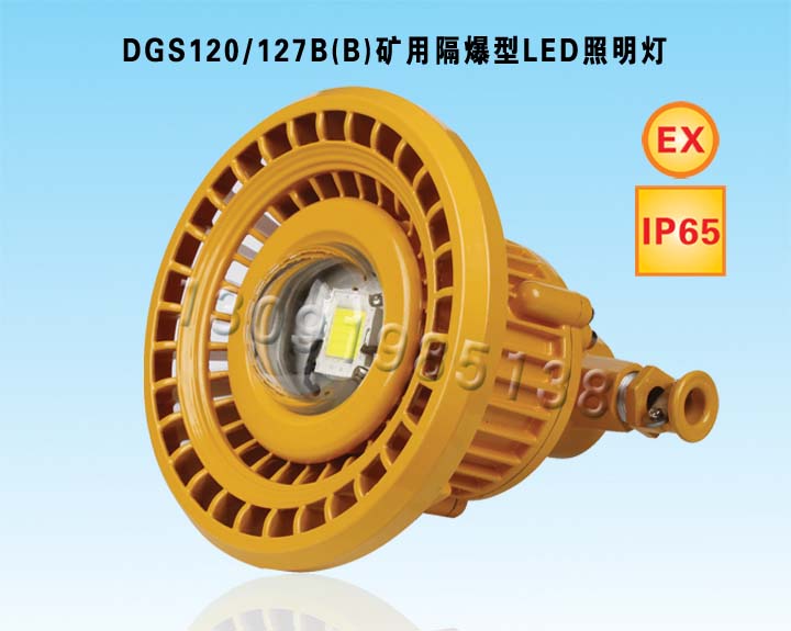 DGS120/127B(B)øLEDƣ120W