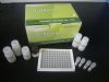 ӵڼT-ϸ(RANTES)ELISA Kit