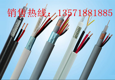 ӦYC 2*2.5mm2 450/750V۸