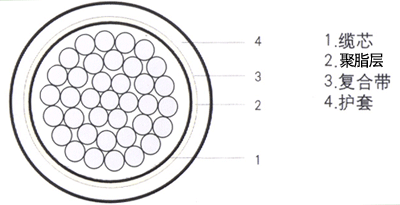 HYAC+RVVPԳʽ