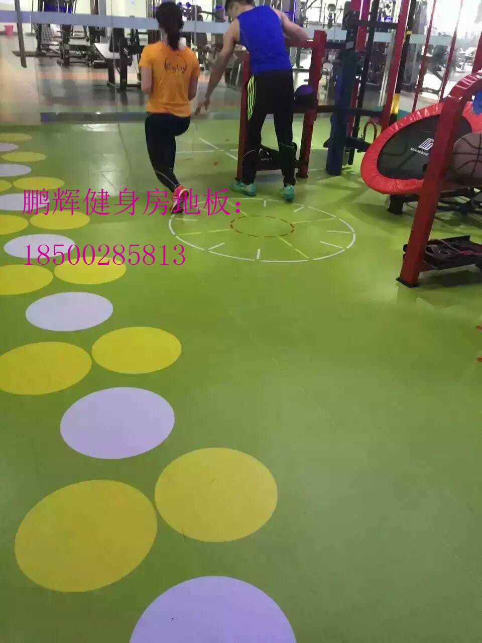 Ҷƽ˶ذ{˶ؽ}18500285813