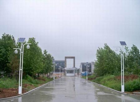 в·Ƴ