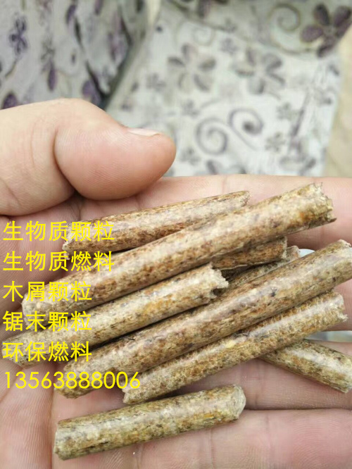 ֡ڿȼϡ)13563888o06
