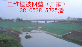 =棨ʲôۣŭ138 0538 5725ҵȷ