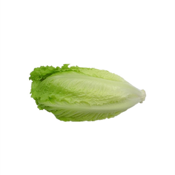 ʹɫ߲˿ɳ
