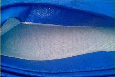 żҿٽ¶겼