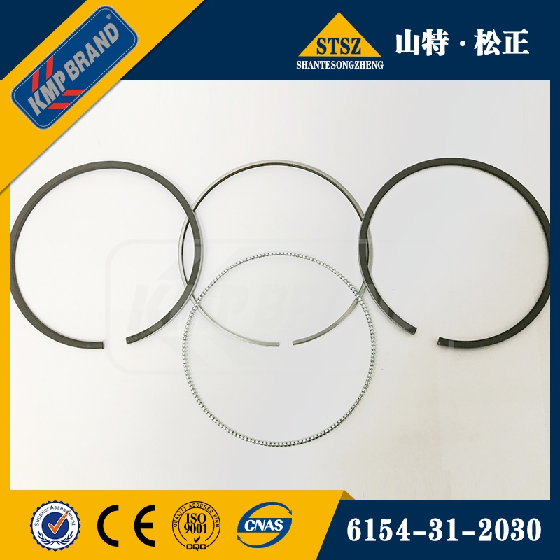 ӢKMPСɷS6D125E6154-31-2030