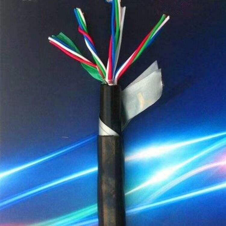 ݹطܵHYA500*2*0.5