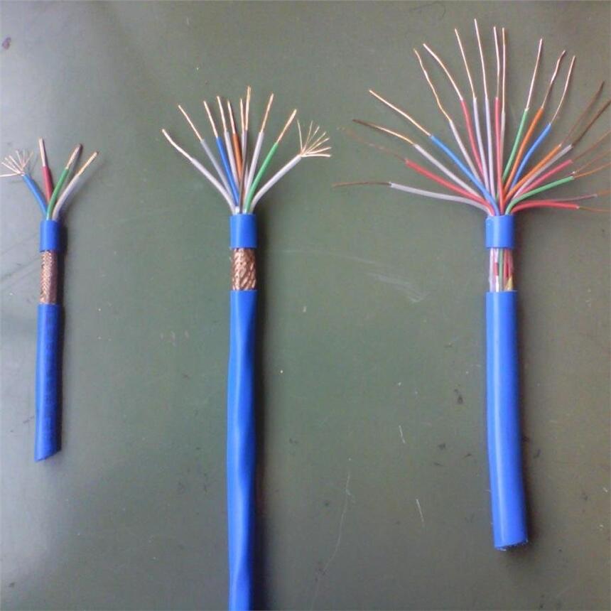 HYV-10(2X0.5)ר