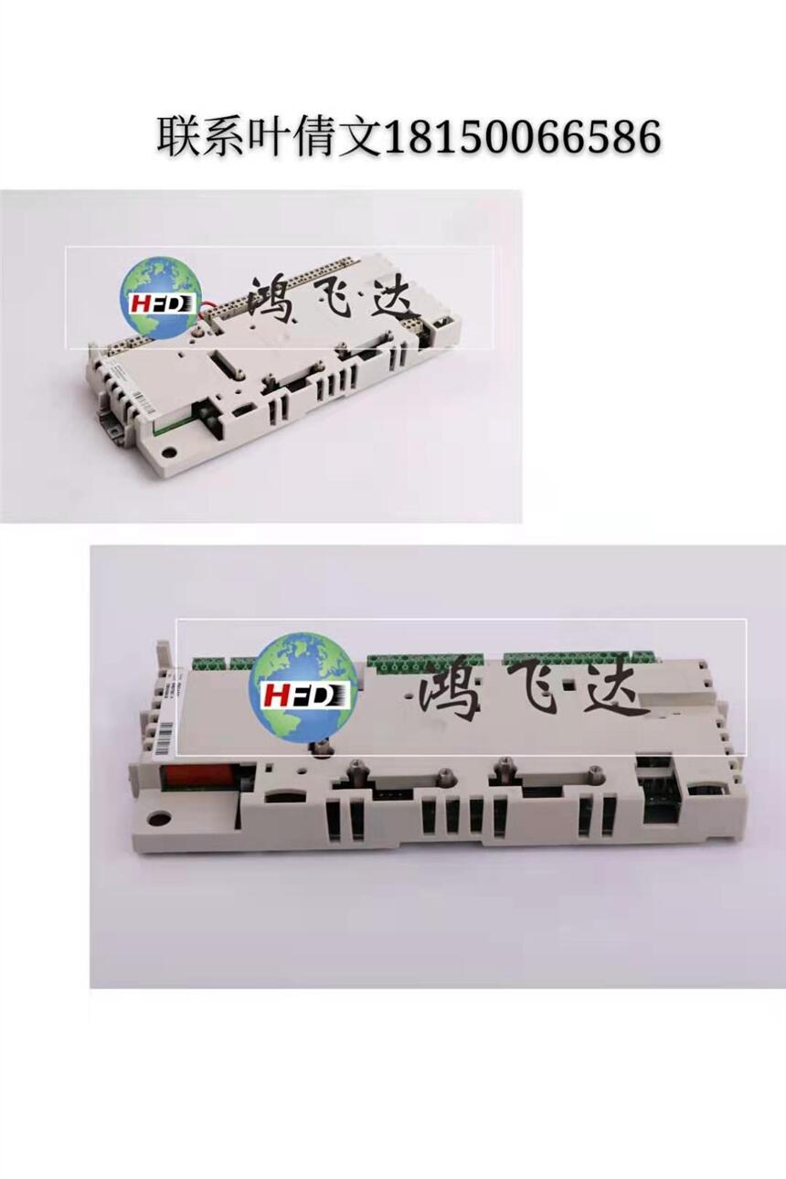 ڱֻWAGOģLDZ10501507