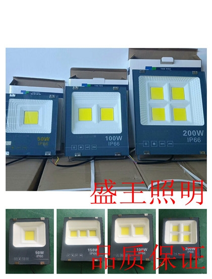 LDX9203-L100W/150WLED