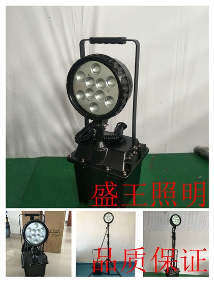 LEDˮLZY8610-2-L100W/250W