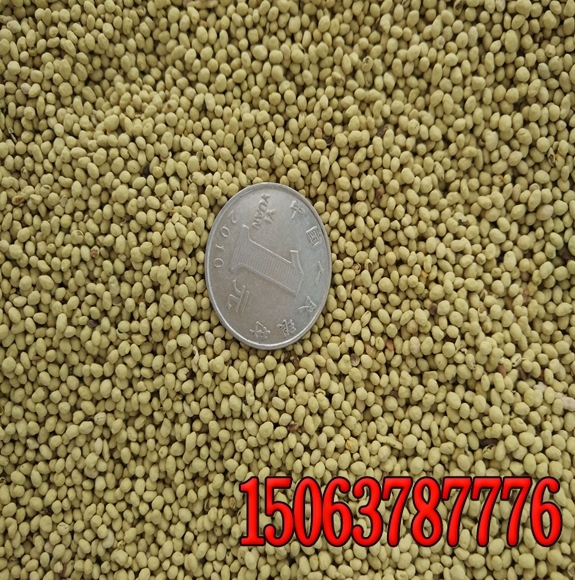 ·ֲ̺