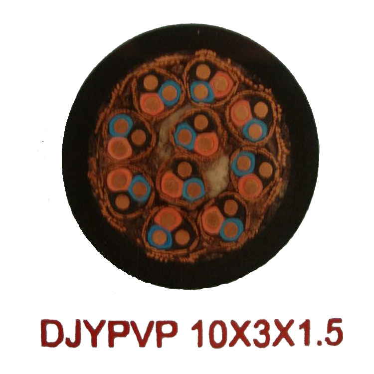 DJYVP1*2*0.75˫Ǳº˰۸