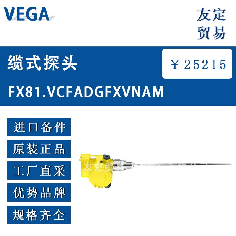 VEGA ʽ̽ͷ 