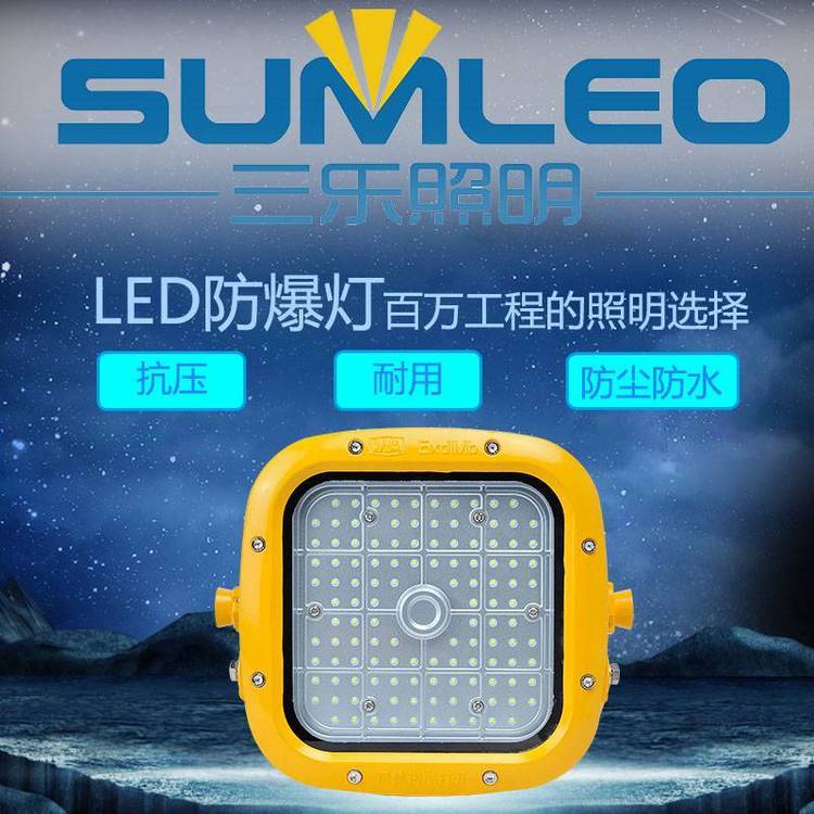 20WʽLED50Wˮά***LED