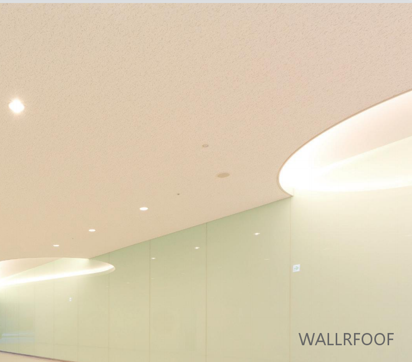 WALLROOFӦްǿȸܺ