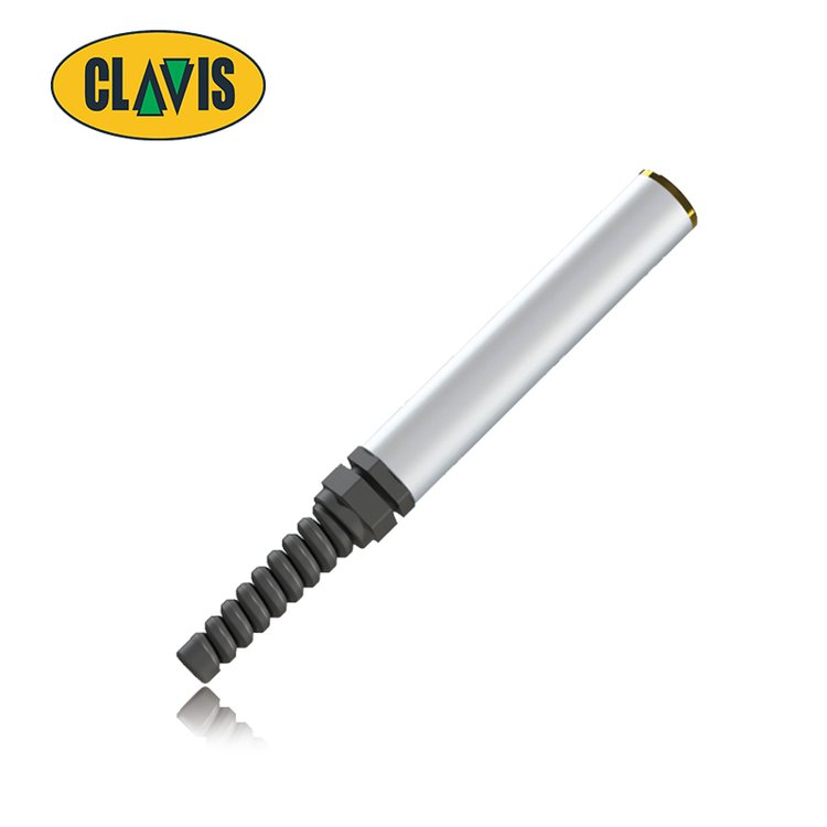 ӢClavisƤǴԴͷ˿Type11