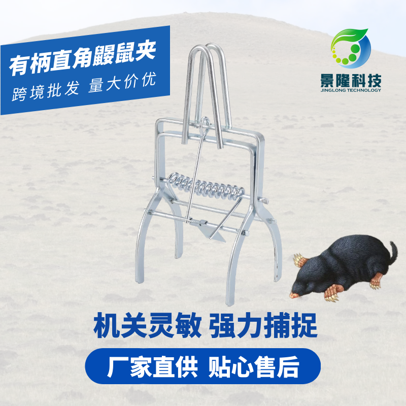 ҹӦֱֱǽеϹӼ